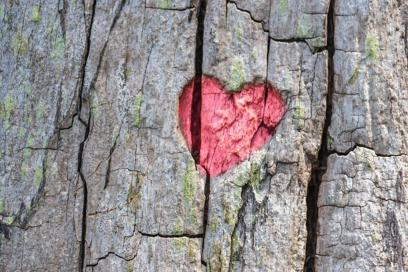 Loving-Kindness Meditation